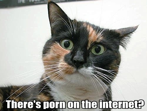 Let’s talk about porn