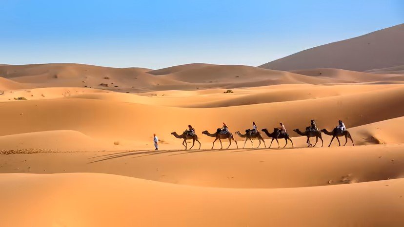 What is a desert?