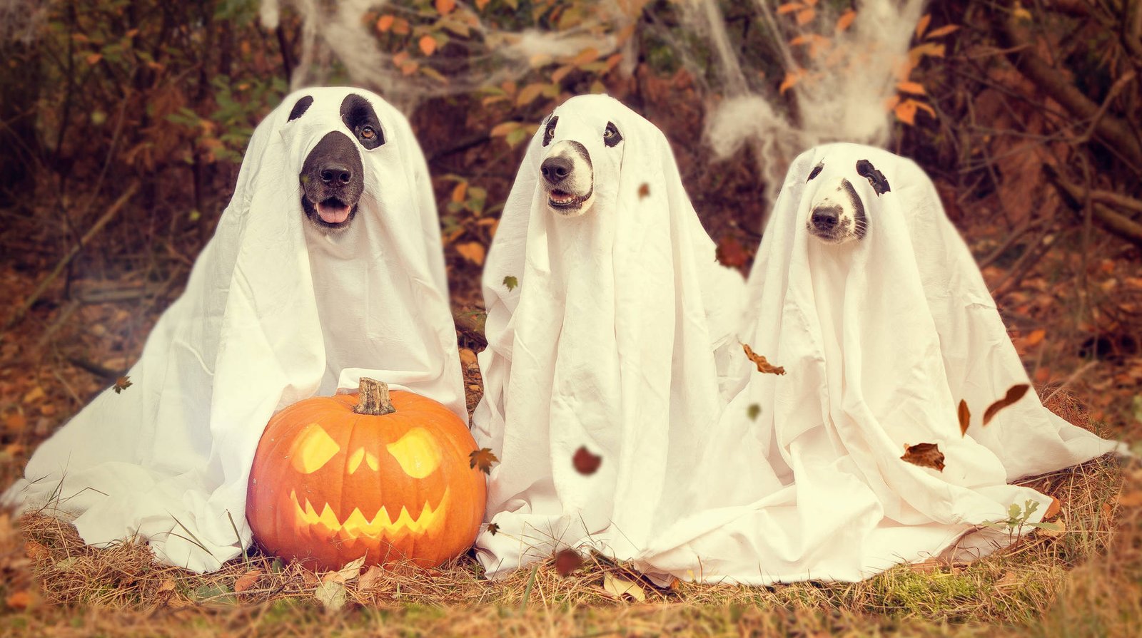 Spooky